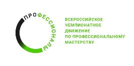 Чемпионат Профессионалы