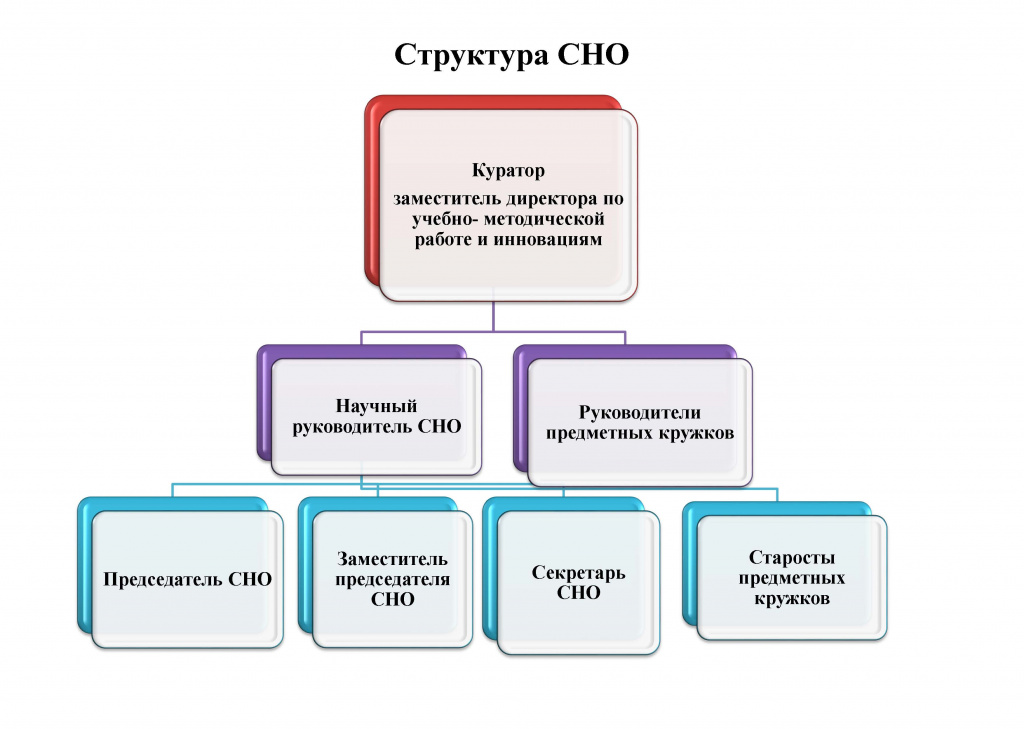 Стркутура СНО.jpg Стркутура СНО.jpg
