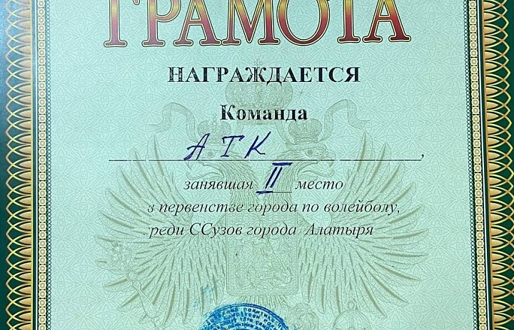  2 место среди ССУЗов по волейболу