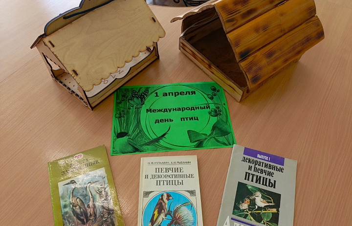 Изготовление кормушек