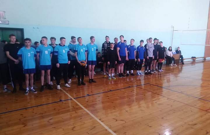 Спортивные соревнования по волейболу