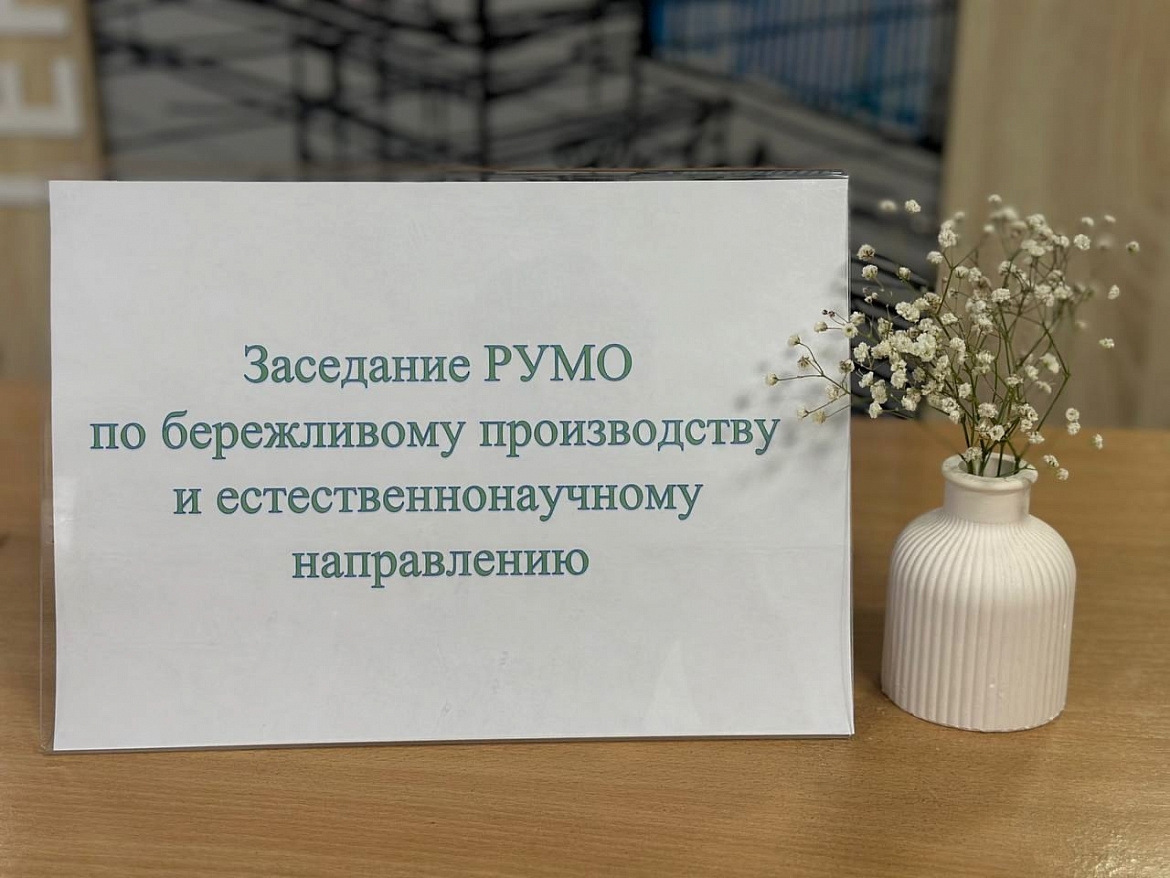 Заседание РУМО по бережливому производству и естественнонаучному направлению