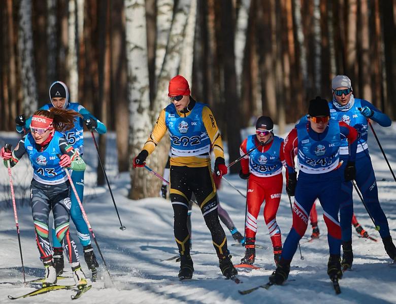 Соревнования по лыжным гонкам 2026
