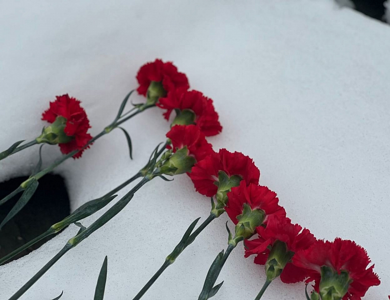Возложили гвоздики к Обелиску