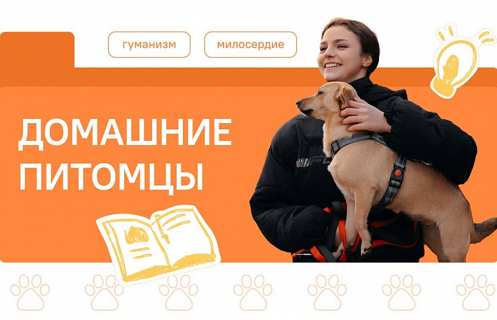 Разговоры о важном. Домашние питомцы