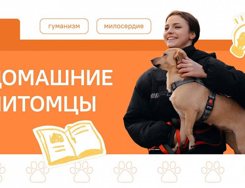 Разговоры о важном. Домашние питомцы