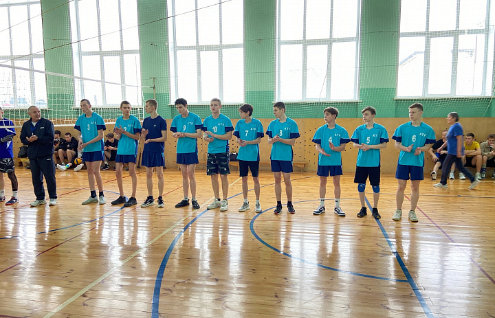 Соревнования по волейболу среди мужских команд